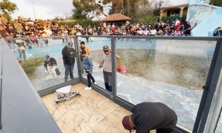Se efectuó la primera Pelea de Robots de 60 Libras en Saltillo