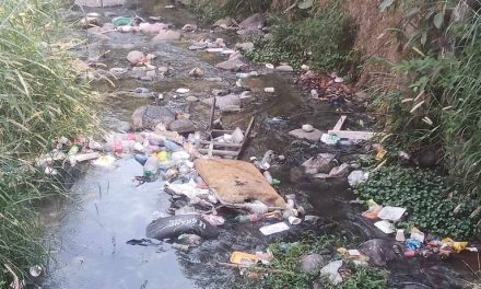 Alarmante contaminación en aguas de México: la mitad de los ríos reprueba evaluación de calidad en 2023