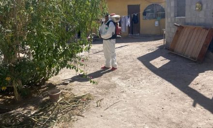 No se disminuirán las acciones contra el dengue