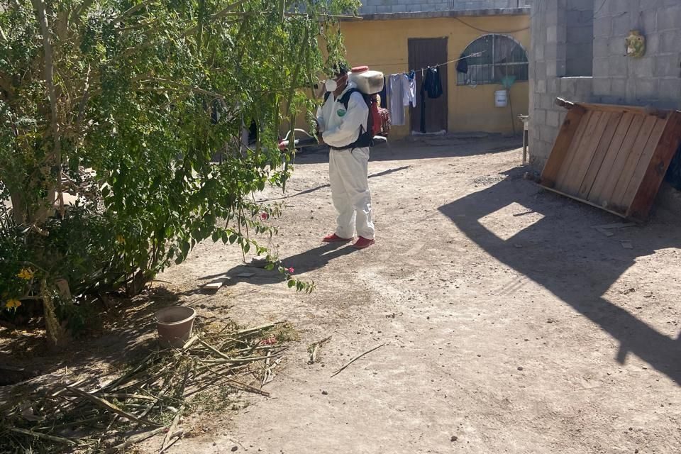 No se disminuirán las acciones contra el dengue