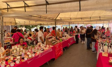Capacitan a mujeres en materia de sororidad en Torreón
