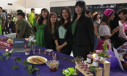 Gobierno estatal otorga créditos a jóvenes emprendedores