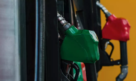 Gobierno Federal garantiza estabilidad en precios de los energéticos por seis años
