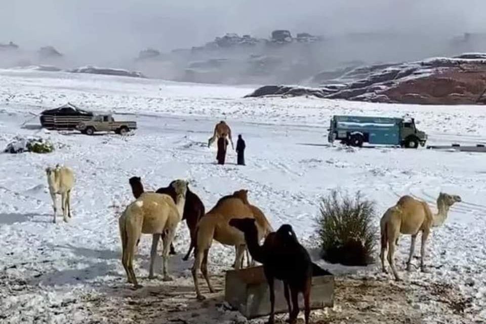 Histórico manto de nieve cubre el desierto saudí de Al Jawf