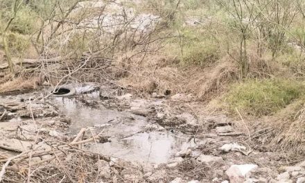 Denuncian contaminación de laguna con aguas negras