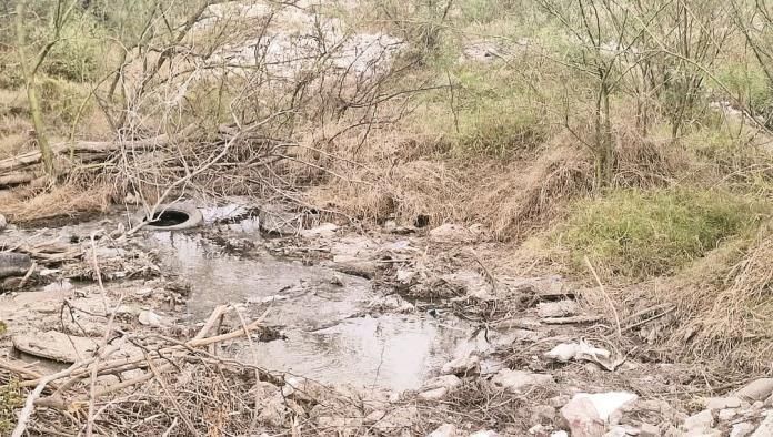 Denuncian contaminación de laguna con aguas negras
