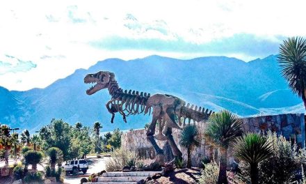 Mantiene Saltillo atracciones en zonas turísticas para visitantes