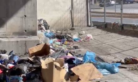 Es evidente el descuido en el distribuidor vial El Sarape