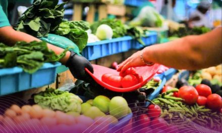 Inflación en México desacelera y cierra noviembre en 4.55%, reporta el INEGI