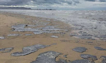 Derrame de petróleo en Rusia afecta 49 kilómetros de playas en Krasnodar