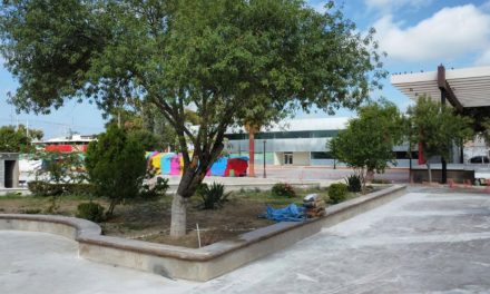 Siembran árboles en la plaza Benjamín Canales