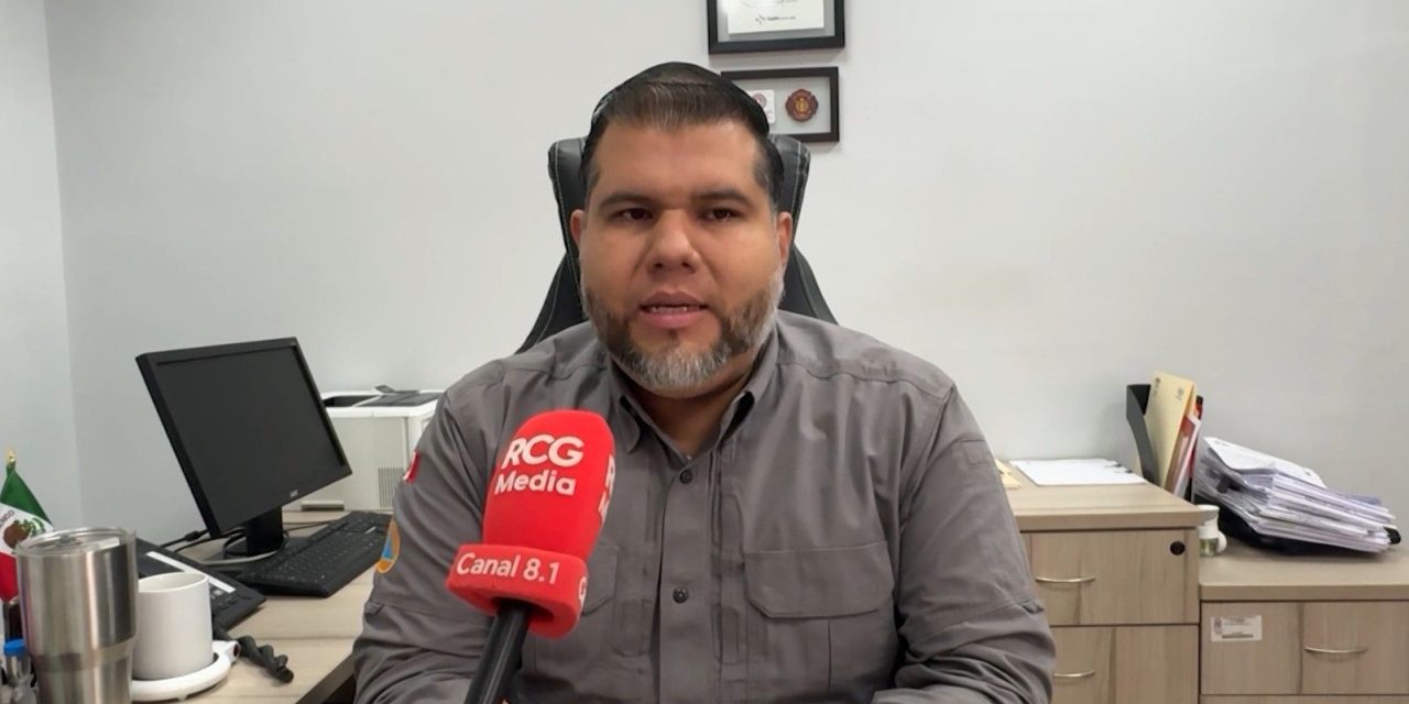 Sin afectaciones por el frio en Saltillo