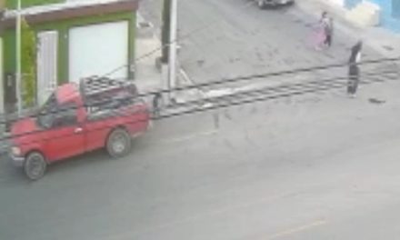 Sujetos abandonan a perrito y huyen en Nuevo Teresitas