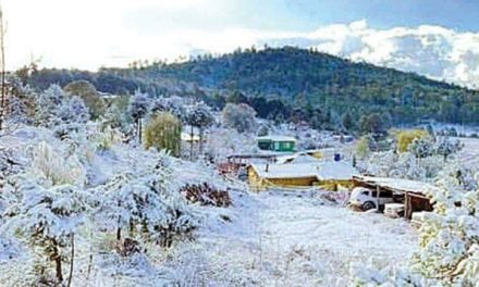 ¡Llegó la nieve! Sierra de Zacatecas se pinta de blanco con la primera nevada