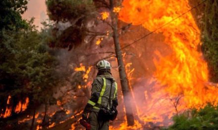 2024: El año con más incendios forestales en México