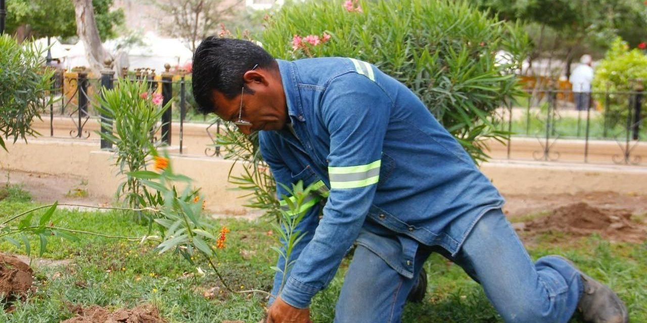 Impulsarán la educación ambiental en comunidades