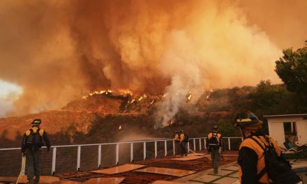 Incendios en Los Ángeles dejan 11 muertos y 13 desaparecidos; más de 14 mil hectáreas consumidas