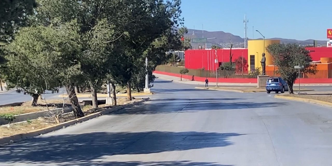 Árboles tapan semáforo en el boulevard Carlos Abedrop
