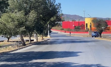 Árboles tapan semáforo en el boulevard Carlos Abedrop