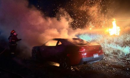Arde auto deportivo al sur de Saltillo