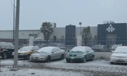 Saltillo amanece ‘de blanco’ tras hielo y nieve