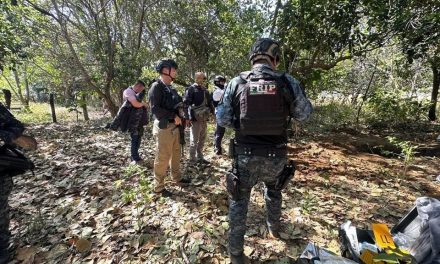 Suman 27 fosas clandestinas encontradas en Chiapas; aumentan desapariciones y violencia