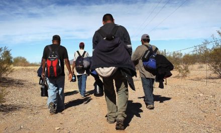 Coyotes duplican precios para cruces irregulares tras nuevas políticas migratorias de Trump