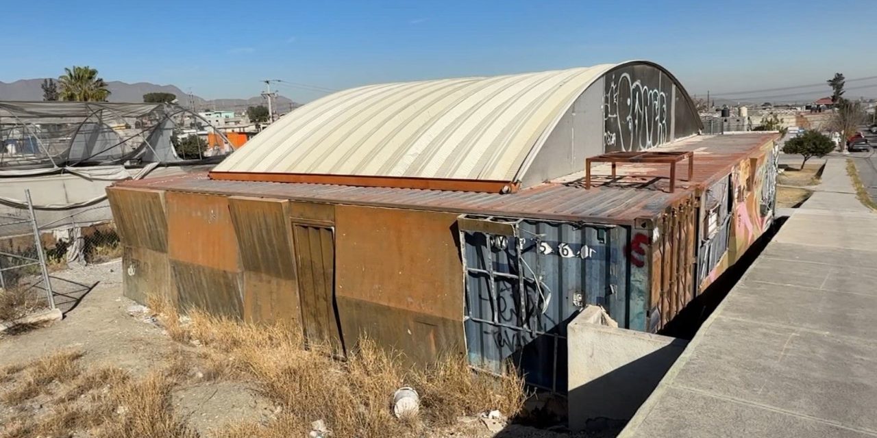En completo abandono un vivero en la Pueblo Insurgente