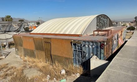 En completo abandono un vivero en la Pueblo Insurgente