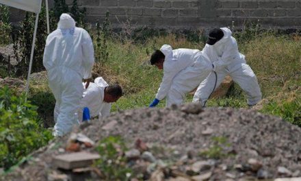 Recuperan 24 cuerpos de fosa clandestina en Zapopan; seis ya fueron preidentificados