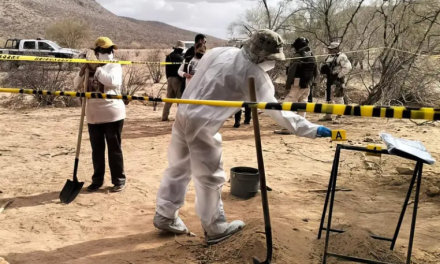 Encuentran ocho cuerpos en fosas clandestinas en Hermosillo