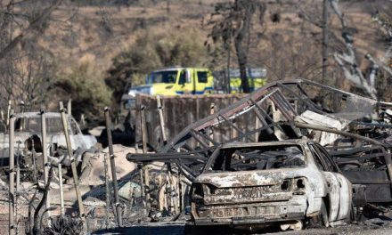 Controversia rodea la respuesta a los incendios forestales en Los Ángeles: ¿Errores de cálculo o falta de recursos?