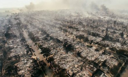 Saqueos y toque de queda en Los Ángeles tras devastadores incendios