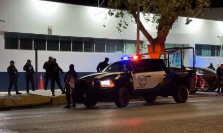 Logran importante decomiso tras cateo en Arteaga