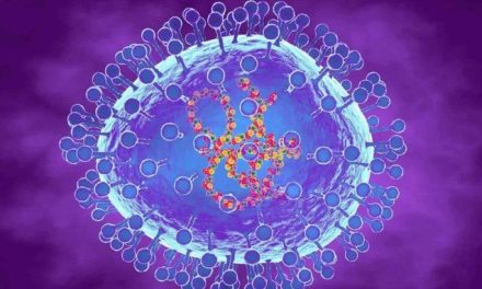 Confirman dos casos de metapneumovirus en Nuevo León; autoridades descartan alerta sanitaria