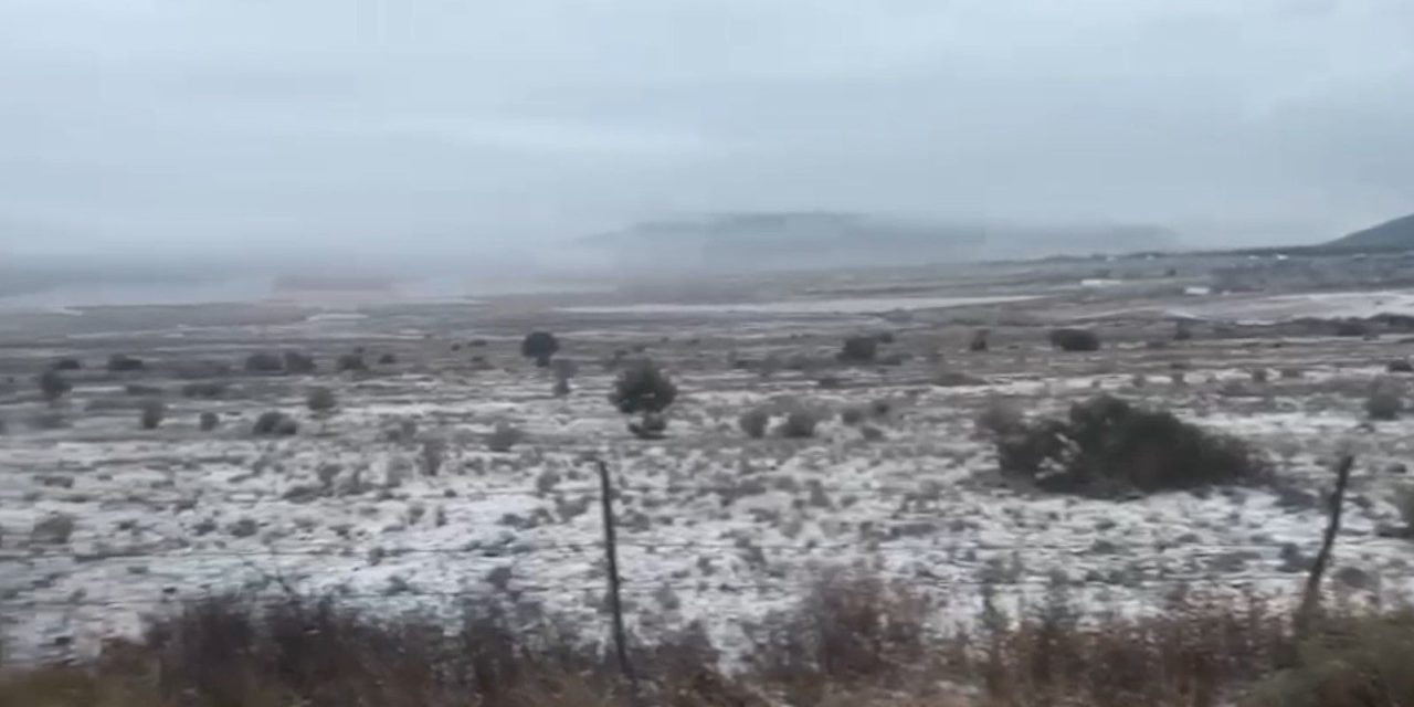 No hubo nieve en la Sierra de Arteaga