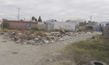 No limpian terrenos baldíos en la Analco en Ramos Arizpe