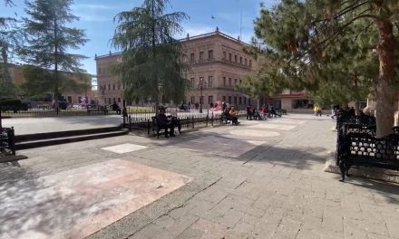 Paseantes del centro de Saltillo piden sanitarios