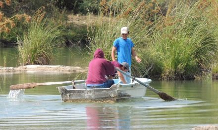 Bajan ventas de pescado en la presa Don Martín