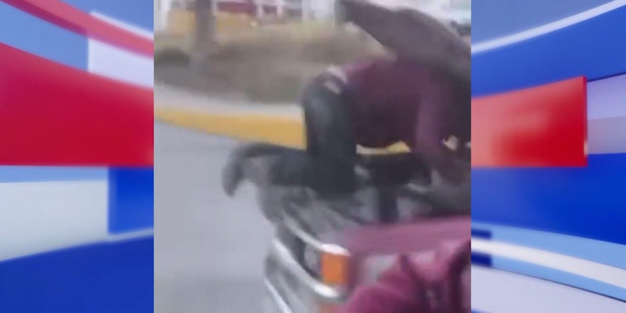¡Saltillo mágico! Mecánico repara una falla de camioneta en movimiento