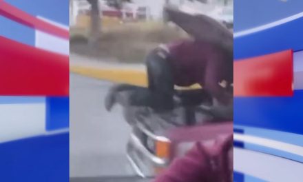 ¡Saltillo mágico! Mecánico repara una falla de camioneta en movimiento