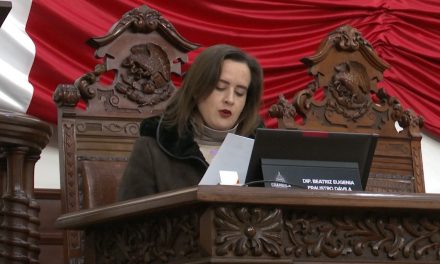 Suma de esfuerzos contra la discriminación en establecimientos, pide diputada, Beatriz Fraustro