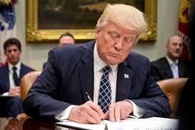 ¿Qué pasará luego de que Donald Trump designó como terroristas a los cárteles?