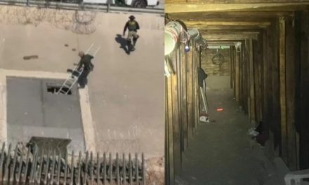 Túnel que transportaba migrantes entre Ciudad Juárez y Texas era promocionado a través de TikTok