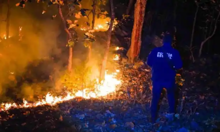 Accidente aéreo en La Yesca, Nayarit, deja seis muertos