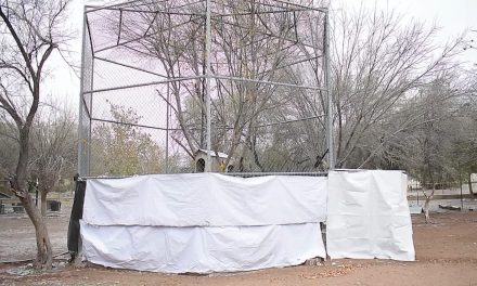 Protegen del frio a animales del zoológico en Monclova