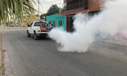 Inician acciones contra el dengue en todo el estado