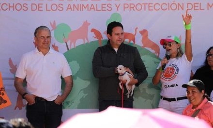 Se compromete Javier Díaz a trabajar a favor de los animales de compañía