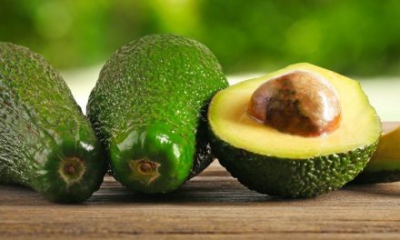 México envía un 20% menos de aguacate a EE.UU que en 2023
