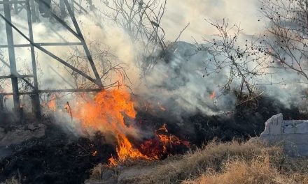 Destapa incendio nido de malvivientes en terreno baldío al oriente de Saltillo